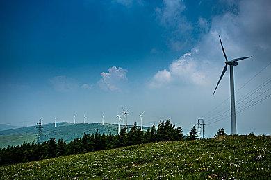 多人同乐新游《我们的夏日运动》7月7日登陆Switch